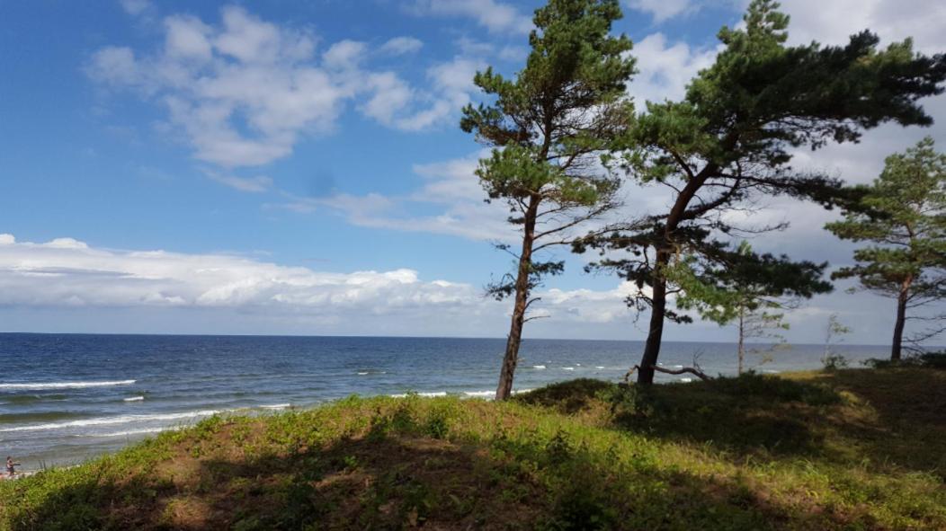 Wiselka Holiday House-1,2Km To The Beach; 5 Bedrooms, 3 Bahrooms; Fire Place. Private Sauna! Exterior photo